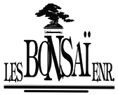 Logo Les Bonsai Enr.